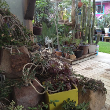cactus & Succulent Gardens