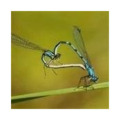 Stacy Steil's photo