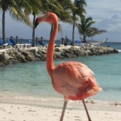 Diana Rathbun's photo