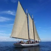 Sarah Conley's photo