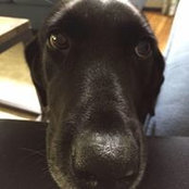 Danielle Palumbo's photo