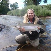 Anne Hamilton's photo