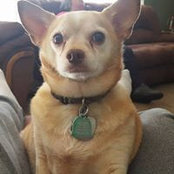Paul Gray's photo