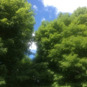 Photo de sdg6259