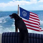 Molly Kelley's photo