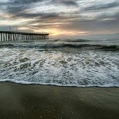Lyndie Cook's photo