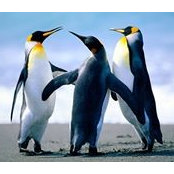 Brenda Vernon's photo