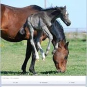 Shari Monroe's photo