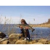 Olga Bashkova's photo