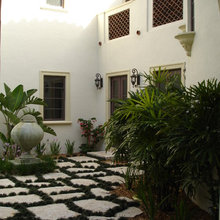 dog yard