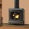 Customizable Cast Iron Stove With Gas Burner System, Natural Iron, B-Vent, Natur