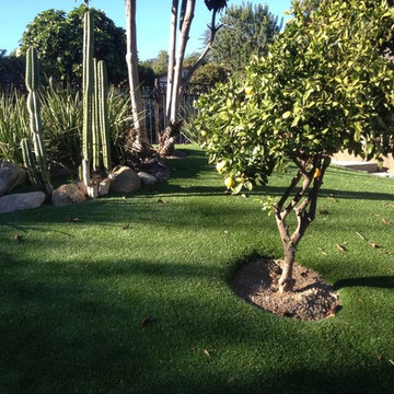 Artificial Grass