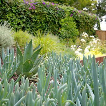 Piedmont Family Garden