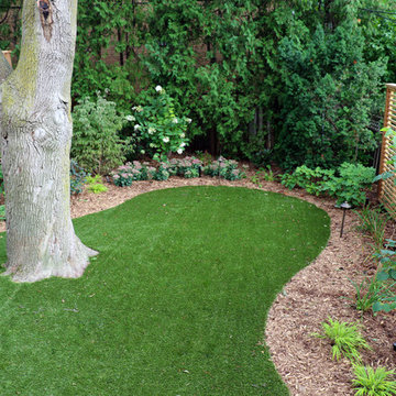 Backyard Oasis in Upper Forest Hill