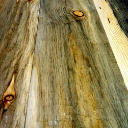 Beetle Kill pine - Wallpaper