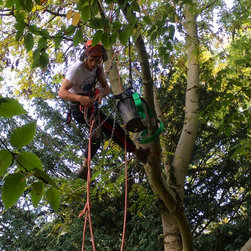 Installing a Treehouse Life Nest Swing project - Products
