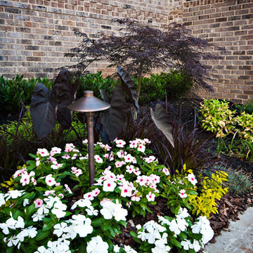 Annual Beds