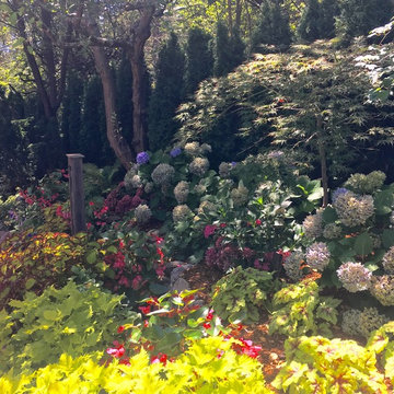 Kentfield Contemporary Garden 2