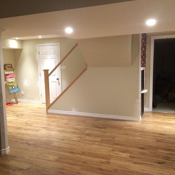 Basement Renovation 2