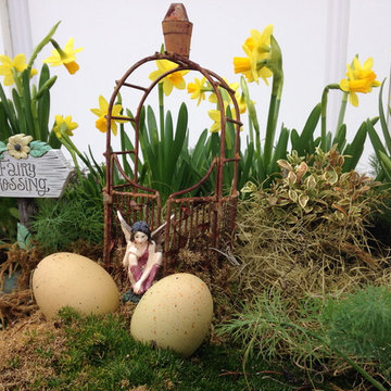 Fairy Gardens, Terrariums & Succulents