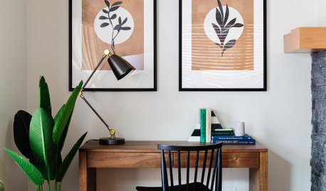 6 Most Common Houseplant Problems & How to Treat Them