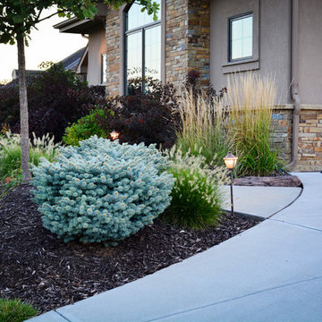 Rustic Silver Leaf Estate