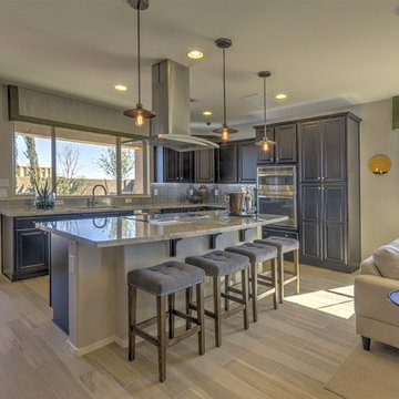 Ambition at Eastmark | Mesa, AZ | 3582 - Dream Plan