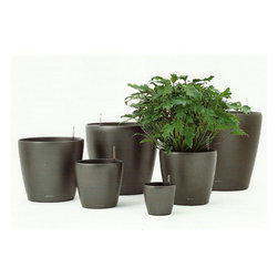 Modern Planter - Products