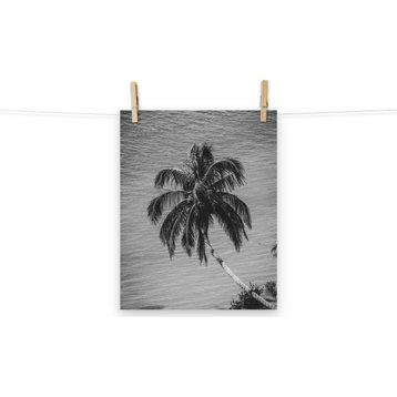 Palm Over Water Black and White Tropical Botanical Unframed Wall Art Print, 11" X 14"