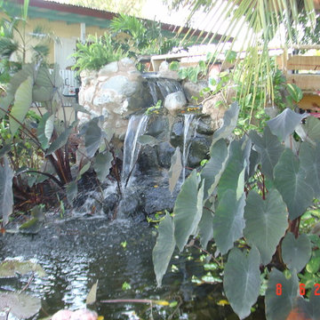 Biological Koi Ponds