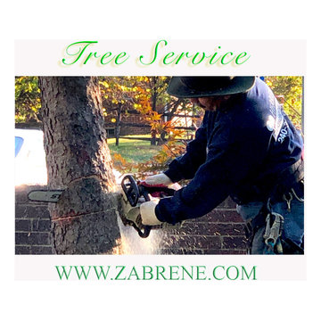 Tree Service