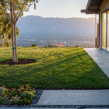 Lawn and slate paving with succulents and trees