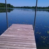 Foto von Donna Bradshaw