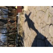 Aslınur Çapraz's photo