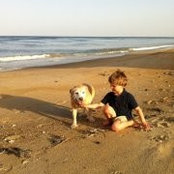 Kate Harvey's photo