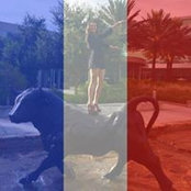 Photo de Shannon Gordon