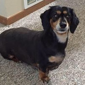 Cindy Wygle's photo
