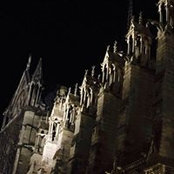 Shane Mahoney's photo