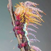 Tina Weidenhammer's photo