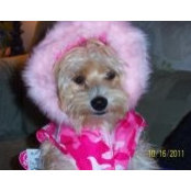 Lynn Cotturo's photo