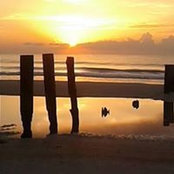 Paul Brown's photo
