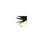 Michael King's photo