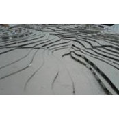 Ibrahim Qassim's photo