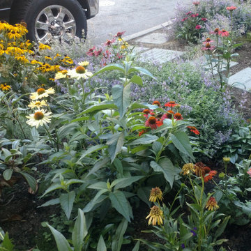 Community Service Public Gardens