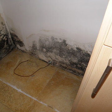 Mold Growing In Closet