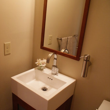 Mendota Heights Modern