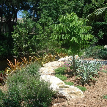 Contemporary Landscape in Weston, FL