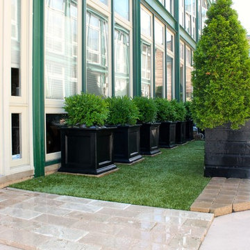 Boxwood Shrubs & Resin Planters