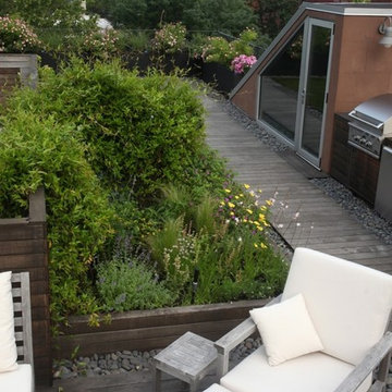 Brooklyn Rooftop Garden