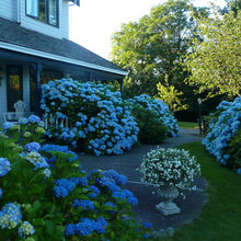 Exterior Ideas
